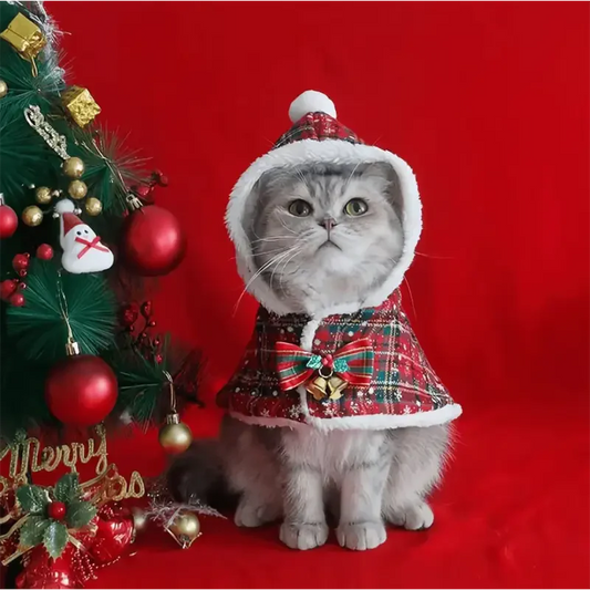 Photo d’un chat en tenue de Noël confortable à côté d’un sapin décoré
