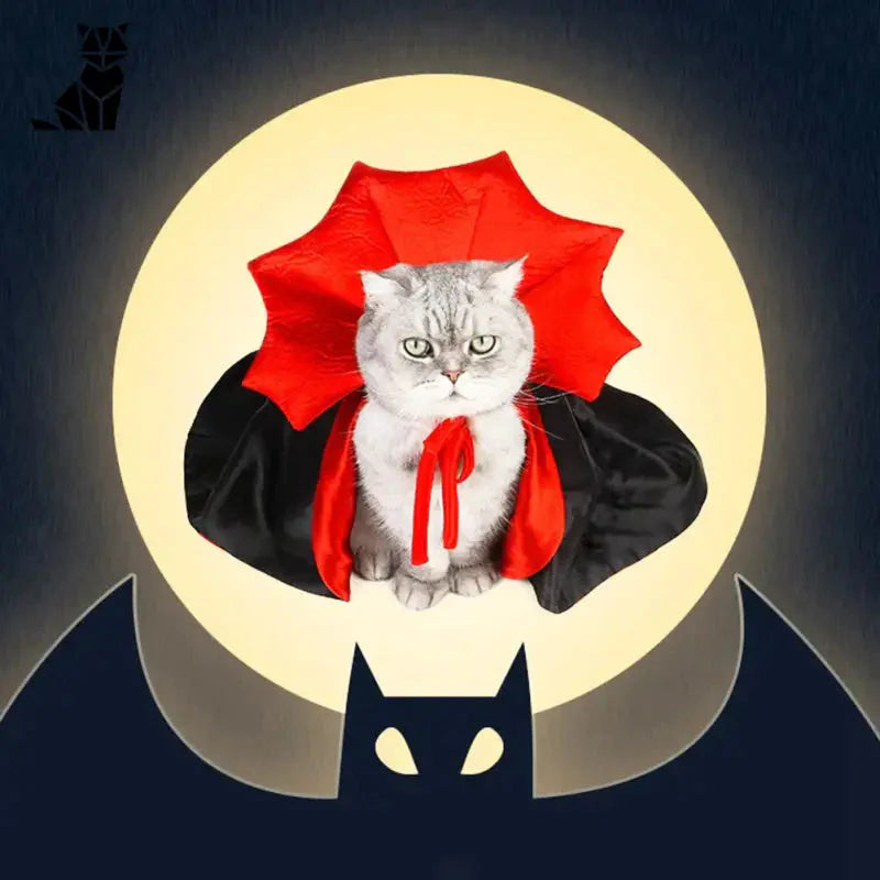 Chat déguisé en chauve-souris dans un costume d’Halloween pour chats - amusant, confortable, et star du spectacle !