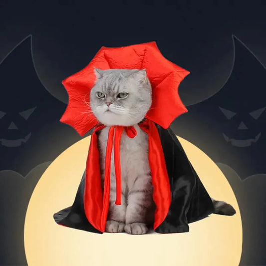 Costume de chat vampire pour Halloween : Amusement et confort pour votre star féline