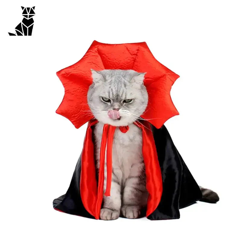 Chat portant une cape rouge et noire pour Halloween, Fun and Comfort Star