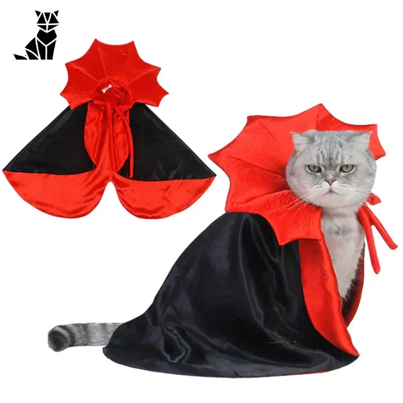 Chat vêtu d’une cape rouge et noire : Costume d’Halloween pour chat. Amusant, confortable et digne d’une star !