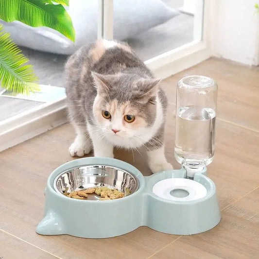 Chat mangeant dans un double bol : Nourriture et eau - Facile à nettoyer, Décoration intérieure