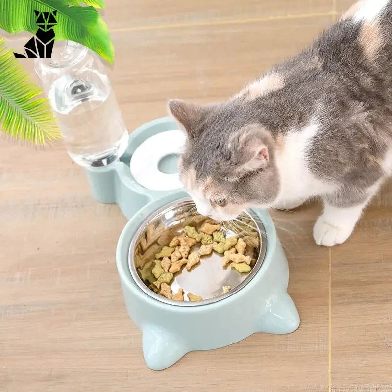 Bol double : Nourriture et eau - Idéal pour chiens et chats, bol chat, facile à nettoyer