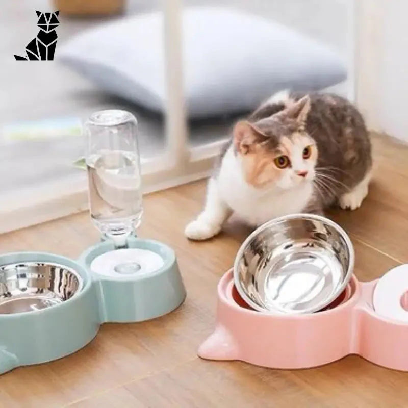 Chat observant l’eau dans un double bol : Nourriture et eau - Idéal pour les chiens et les chats