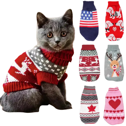 Chat festif vêtu d’un pull et de chaussettes de Noël, illustrant la douceur de l’hiver et les plaisirs de la saison Transparent Background