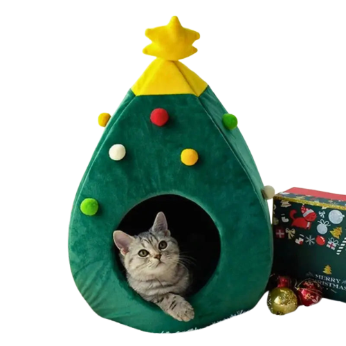 Niche de noël pour chat | Chapin™ Transparent Background