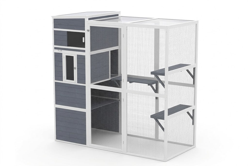 Enclos pour chat extérieur en bois gris avec maisonnette, 3 plateformes et toit transparent