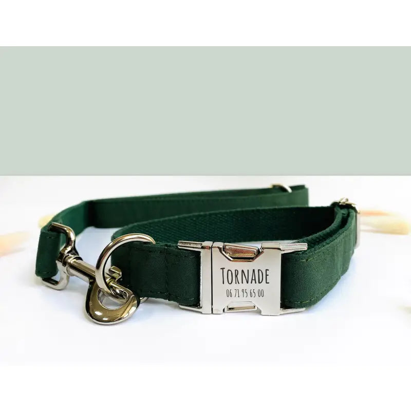 Kit Complet Chien Personnalisé Coton Vert Sapin