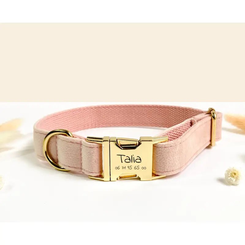 Kit Complet Chien Personnalisé Velours Rose