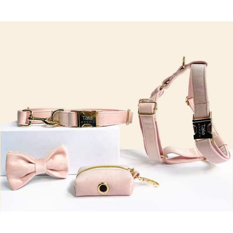 Kit Complet Chien Personnalisé Velours Rose