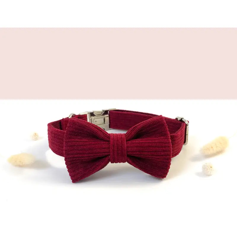 Kit Complet Chien Personnalisé Velours Côtelé Bordeaux