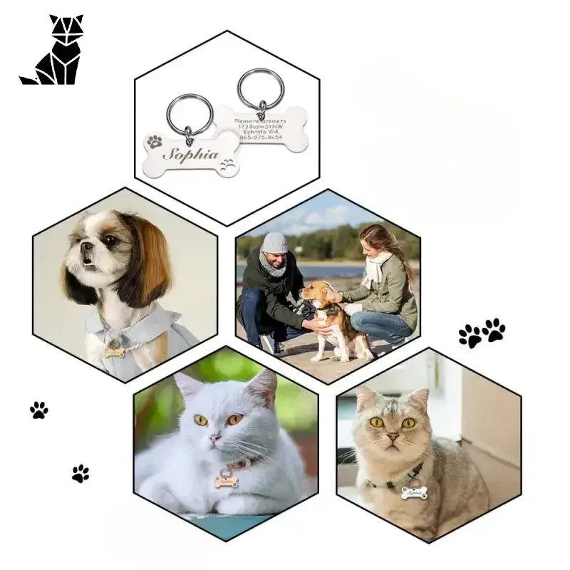 Médaille personnalisée en acier brillant avec chat et chien gravés dans un hexagone