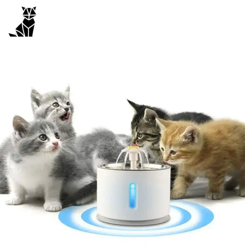 Fontaine à Eau Fraiche Pour Chat Avec Lumière Led Intelligente