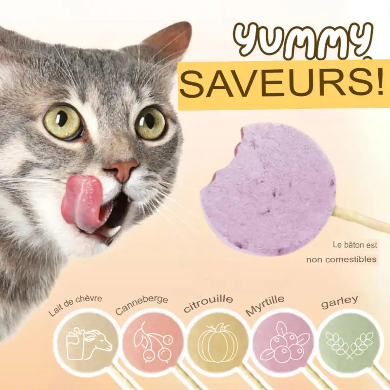 Friandise Chat Lollipop Saine et Gourmande