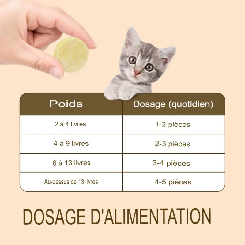 Friandise Chat Lollipop Saine et Gourmande