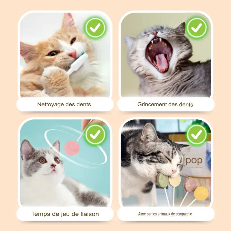 Friandise Chat Lollipop Saine et Gourmande
