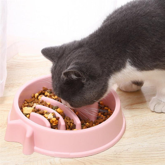Mangeoire lente pour chat