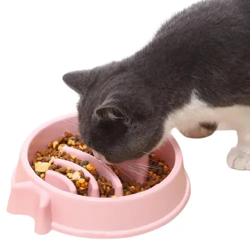 Mangeoire lente pour chat Transparent Background
