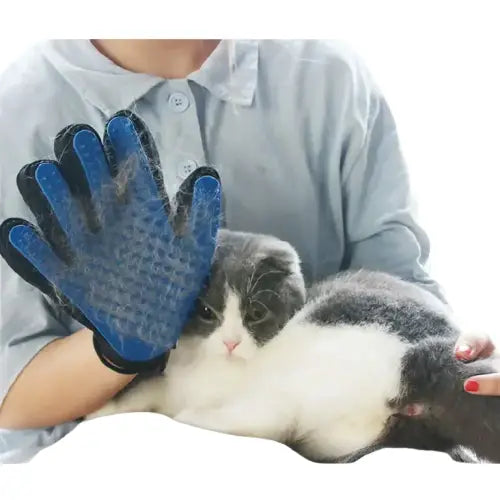 Personne utilisant le Glovicat Cat Glove pour enlever les poils morts d’un chat heureux dans une clinique Transparent Background