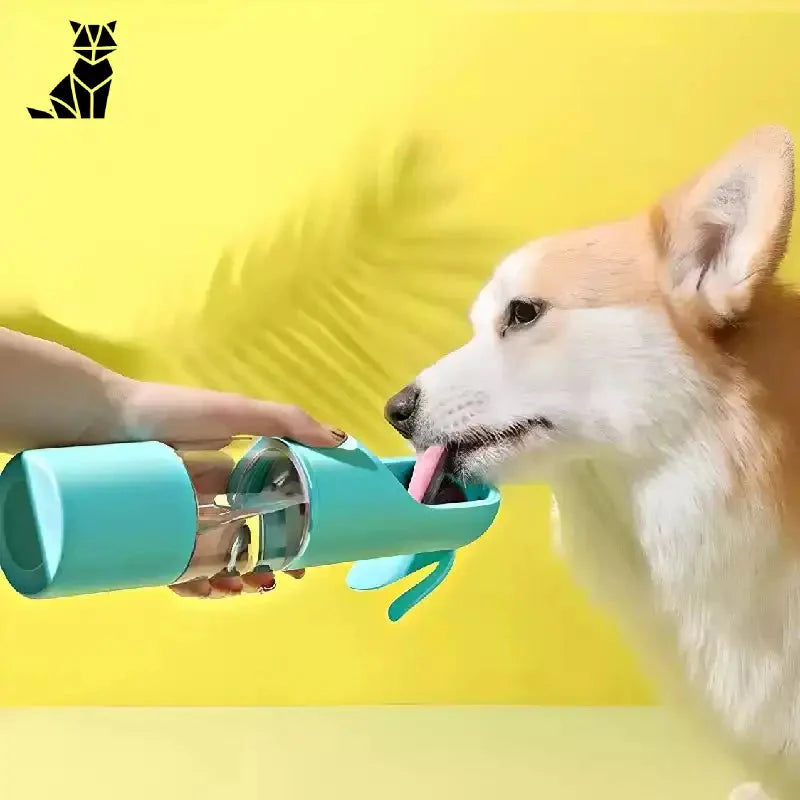 Biberon multifonctions 3 en 1 pour chien : Person feeding dog with practical multifunction bottle, gourde multifonction, dragonne autour