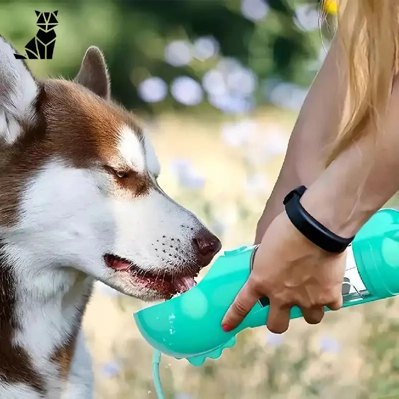 Chien buvant de l’eau dans une bouteille - Gourde multifonction pour chiens, solution pratique avec sangle autour