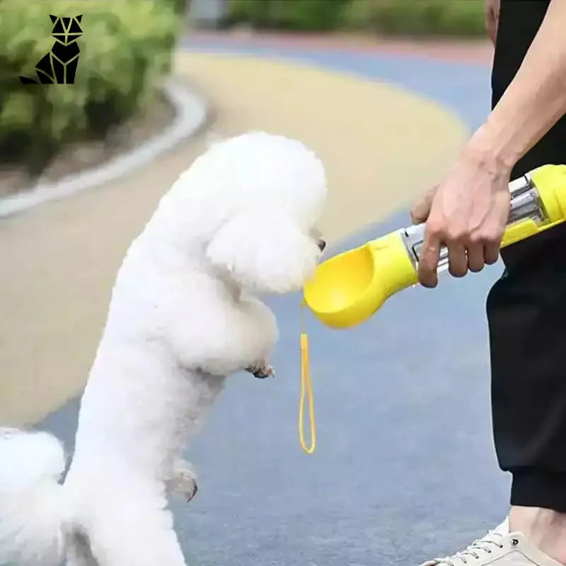Personne se promenant avec son chien en utilisant la bouteille multifonction 3 in 1 pour chiens - Solution pratique Bottle with dragonne autour