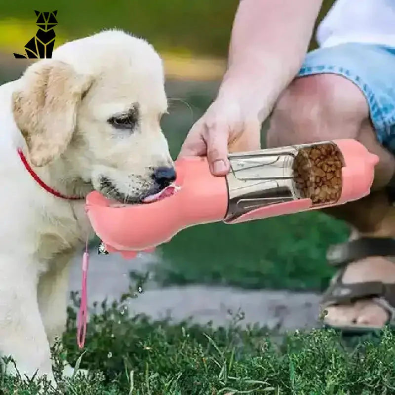 Chien jouant avec un jouet dans l’herbe avec 3 in 1 Multifunction Bottle for Dogs - solution pratique