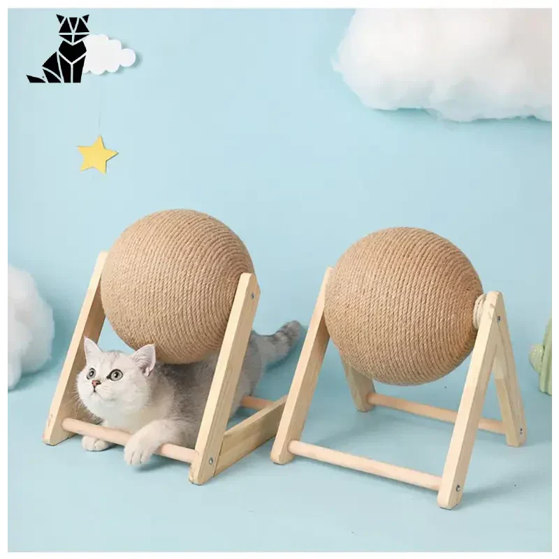 Chat jouant avec une balle sur un griffoir en bois massif|Bois Massif Pet Toy for Animals
