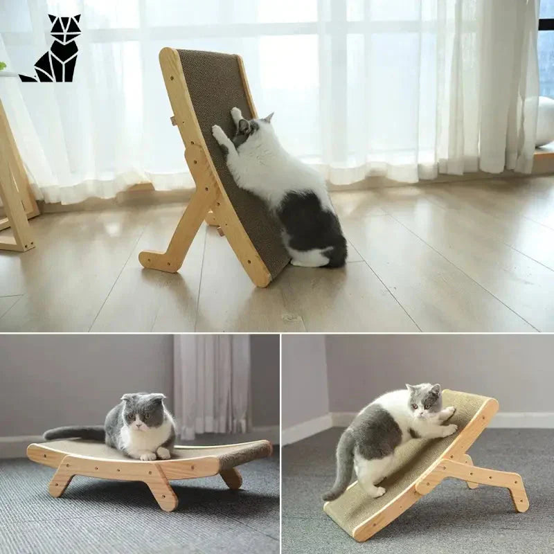 Quatre images de chats sur une chaise avec un griffoir pour chats : Indispensable pour satisfaire ses besoins naturels