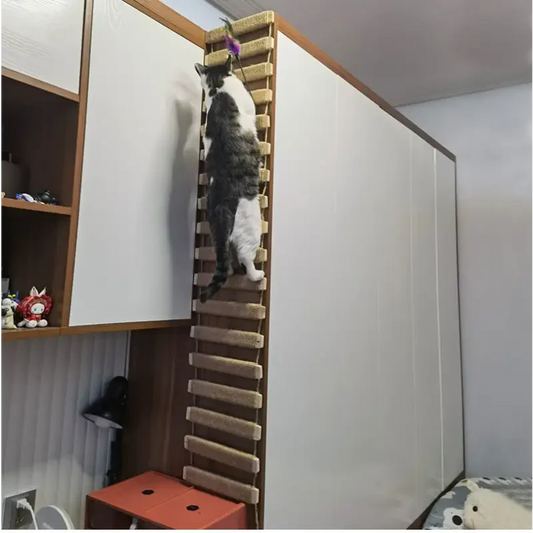 Griffoir mural pour chat - Espace d’activité vertical avec un chat grimpant sur une échelle dans une pièce