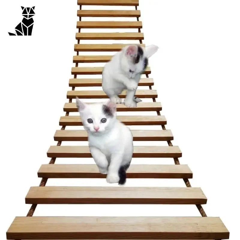 Deux chatons grimpant des escaliers sur Griffoir Mural d’activité - Vertical Activity Space