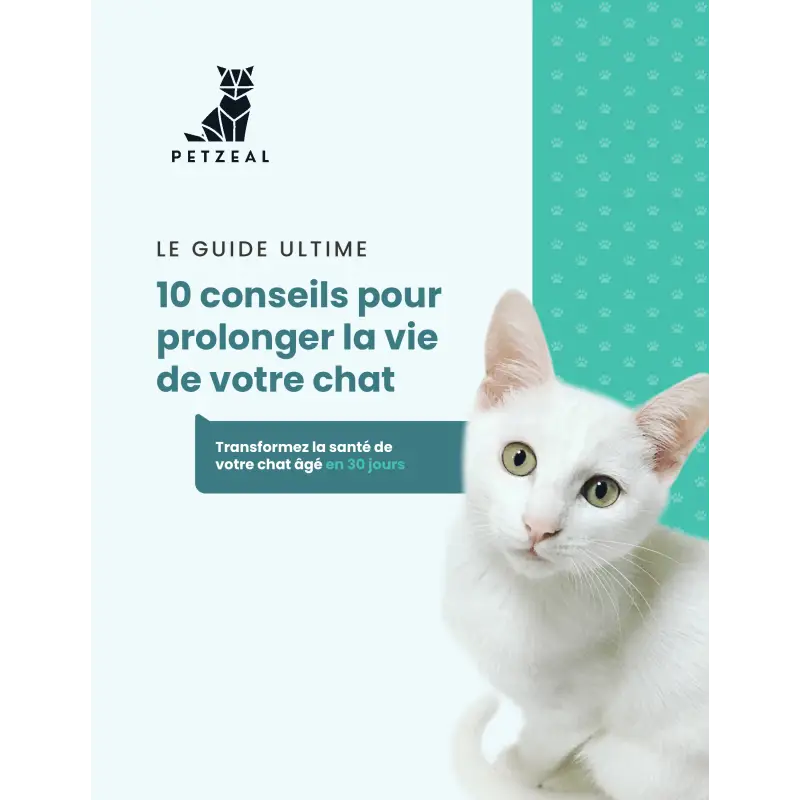 Guide Ultime: 10 Conseils pour Prolonger la Vie de Votre