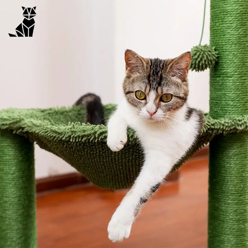 Chat assis sur une planche à gratter dans un hamac avec une corde en sisal : Original arbre à chat