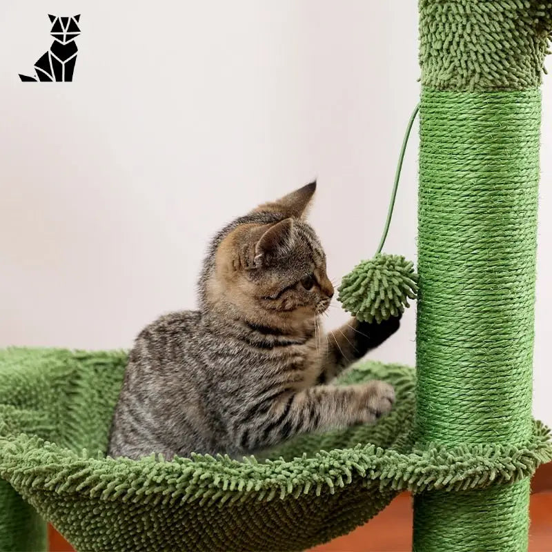 Chat jouant avec un jouet dans un arbre à chat : Arbre à chat original avec corde en sisal