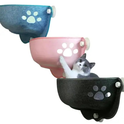 Chat se prélassant dans le bol de fenêtre de Comfort Window Hammock for Cats - Panoramic Vue Transparent Background
