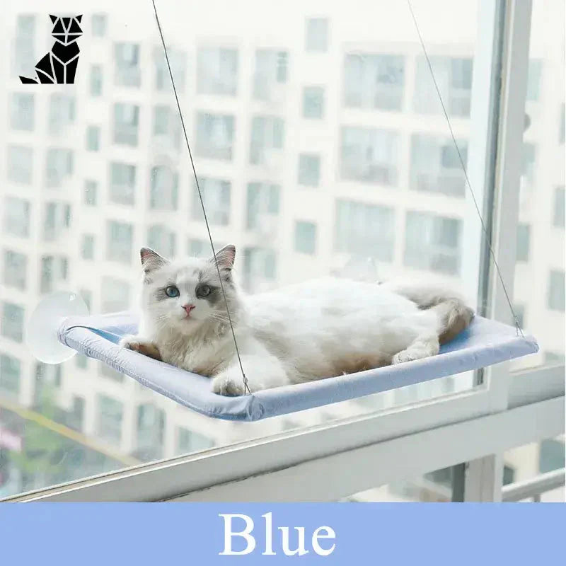 Chat se relaxant sur un lit bleu dans Hamac mural pour chats - Confort en hauteur, mural pour animaux heureux