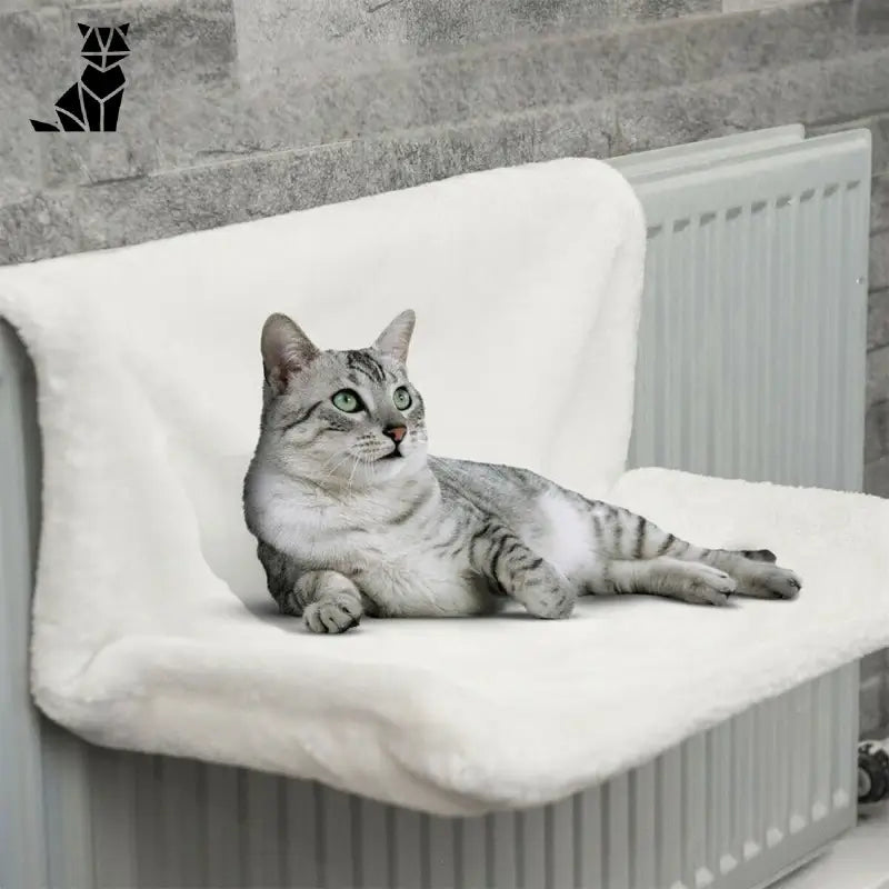 Hamac pour chat radiateur: Lit suspendu | petzeal