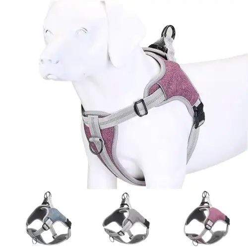 Harnais Chien anti - traction TrueLove réfléchissant Transparent Background