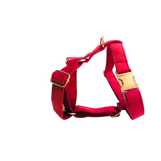 Harnais Chien Personnalisé Velours Lisse Rouge Transparent Background