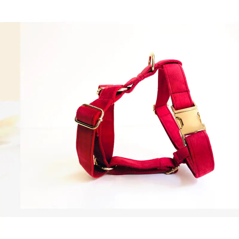 Harnais Chien Personnalisé Velours Lisse Rouge