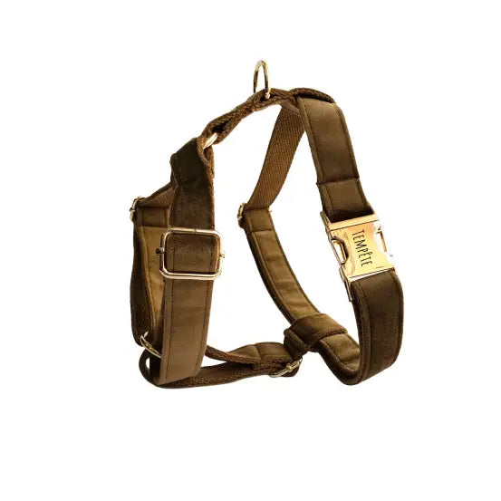 Harnais Chien Personnalisé Velours Lisse Marron Transparent Background