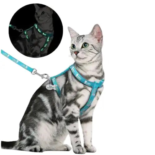 Harnais Pour Chat Personnalisable Avec Laisse Transparent Background