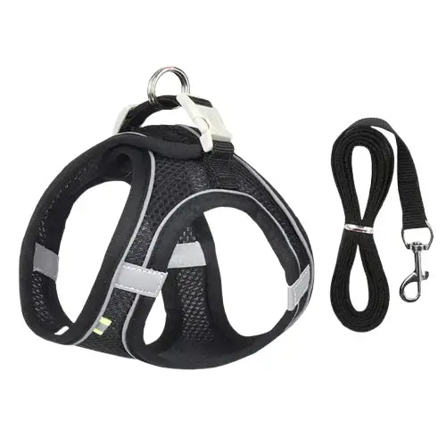 Gros plan du Harnais réglable pour chien et chat par Animal Lovers avec laisse attachée Transparent Background