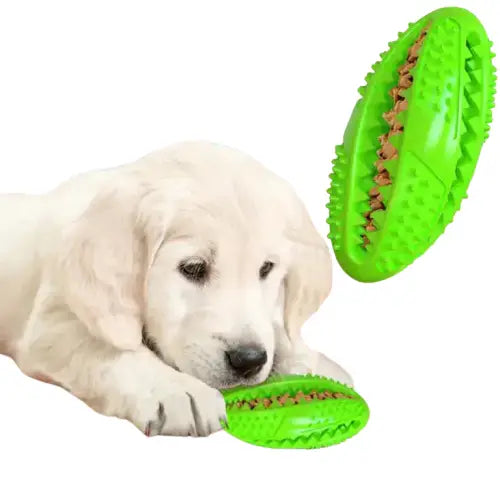 Chien s’amusant avec un jeu éducatif en caoutchouc naturel, avec un jouet en forme de balle en arrière-plan Transparent Background