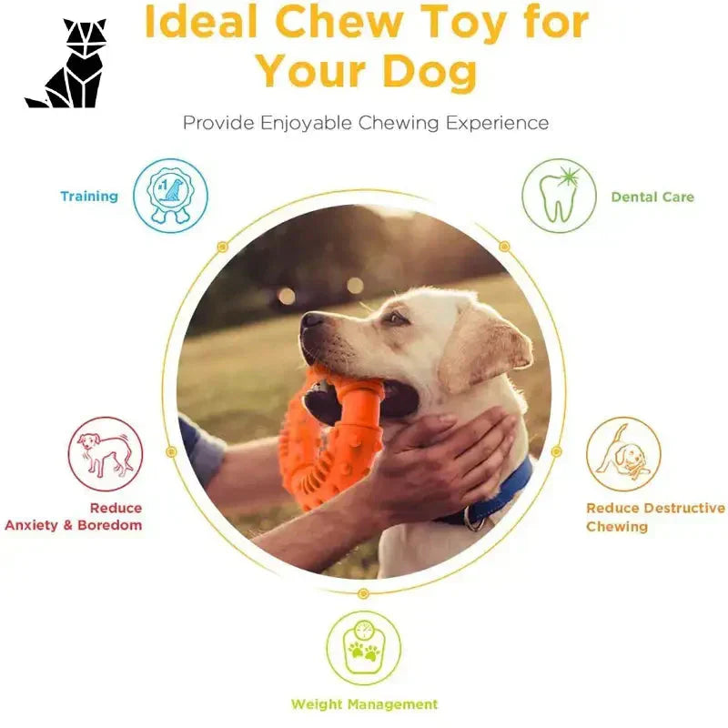 Grand chien avec un jouet soin dentaire étiqueté ’dog chew’ et ’dental toy for large dogs’