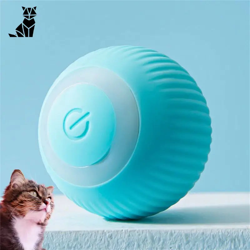 La balle magic pour chat | MagicBall™