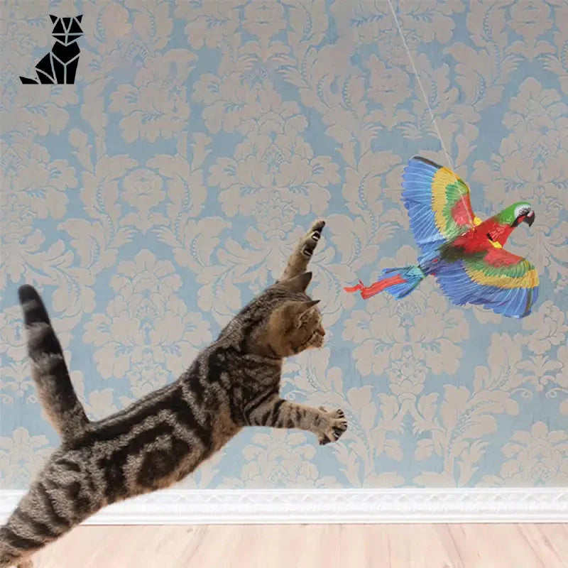 Chat s’amusant avec le cerf-volant ’Interactive Bird’, dites adieu à l’ennui, parfait pour votre chat dintérieur