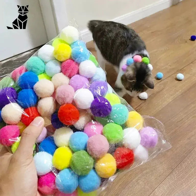 Chat jouant avec un mini lanceur de pompons - jouet interactif pour chats