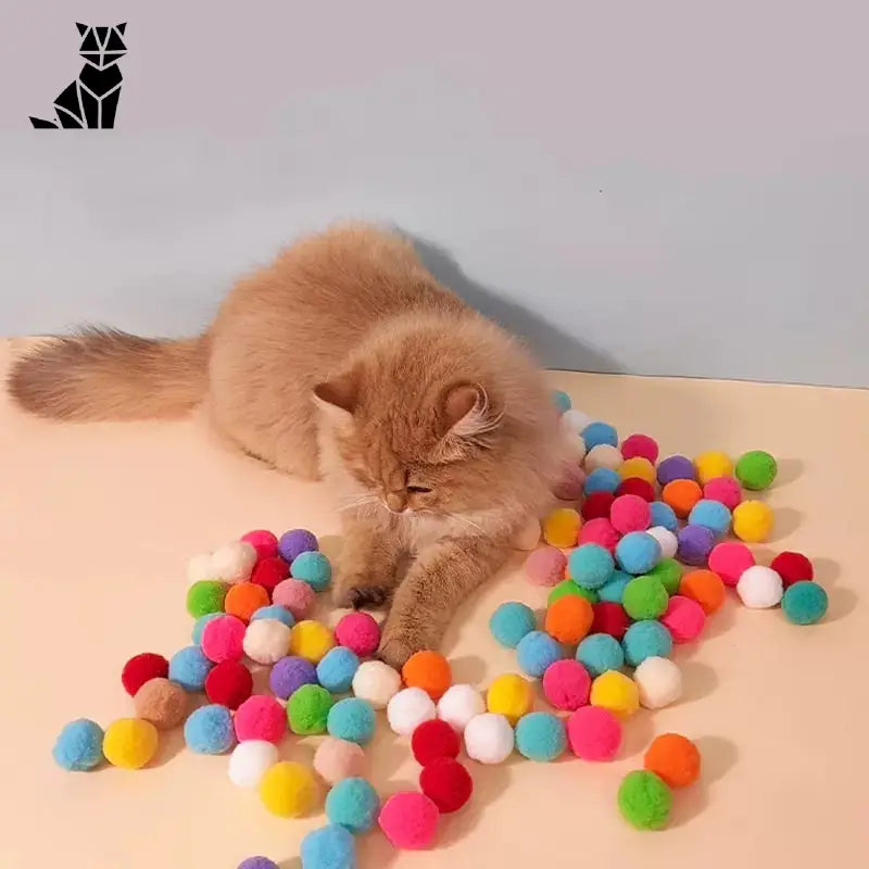 Chat jouant avec un mini lanceur de pompons - jouet interactif pour chats