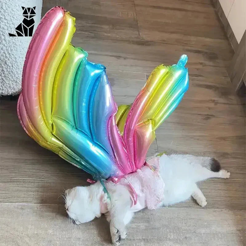 Cat avec queue de licorne sur le sol, accessoire papillon pour décoration de fête